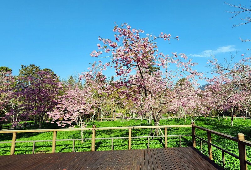 LG Daming pasyalan sa Taiwan (Provided by Chiayi Branch) Central News Agency reporter Huang Guofang faxed on March 10, 2026. 