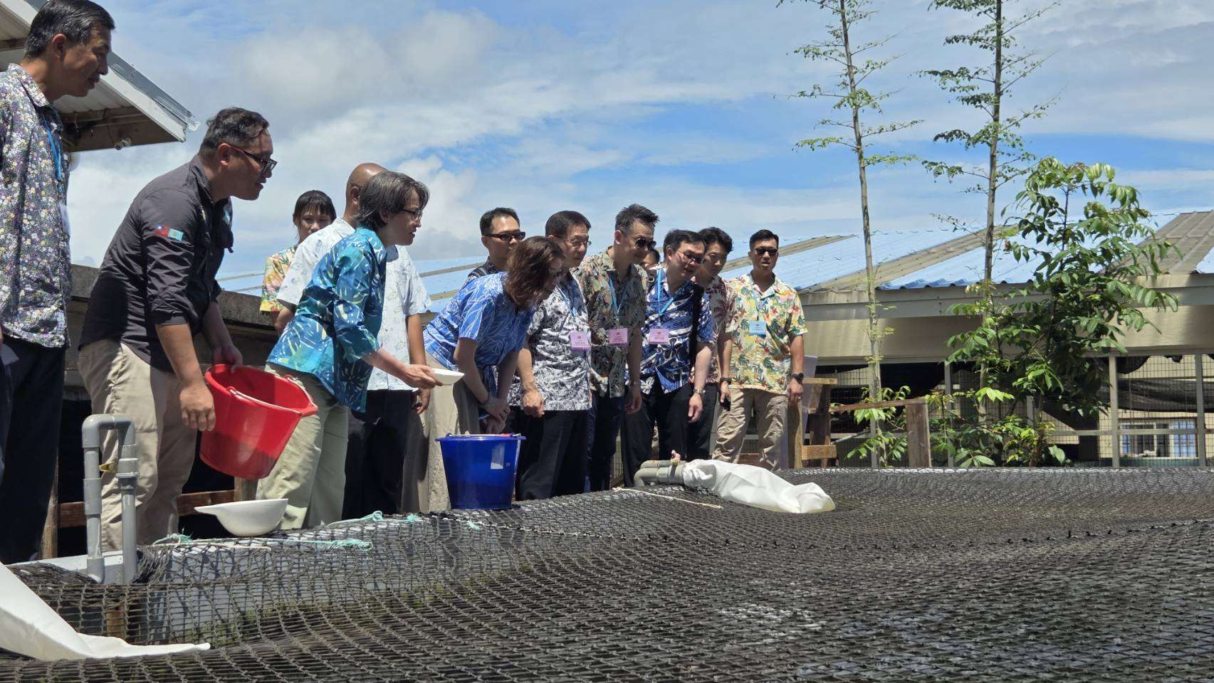 Bumisita si Vice President Hsiao sa Palau National Aquaculture Center at sa milkfish pond. Photo by Liu Yu Chiu