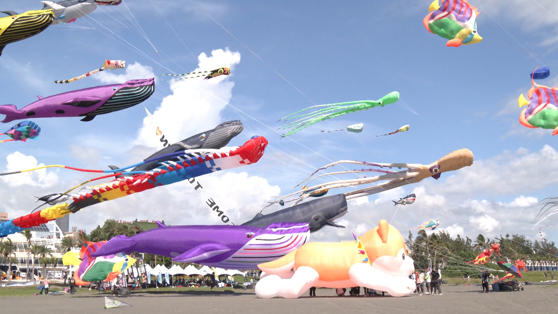 Sa Kaohsiung Cijin Kite Festival, 130 sea-themed kites ang lumipad at nagbigay-kulay sa kalangitan. Photo: RTI