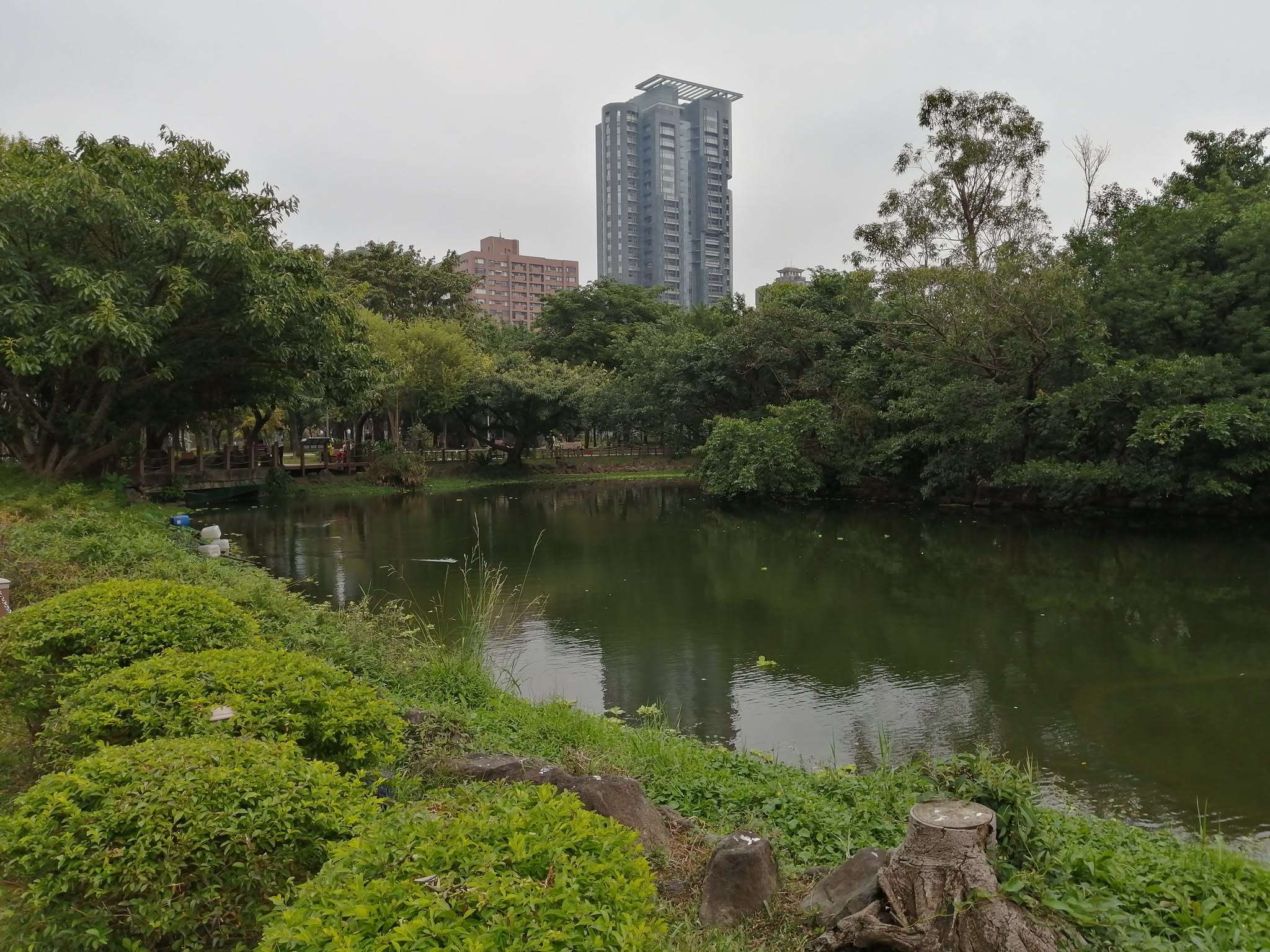 Большой экопруд в лесопарке «Даань». Фото: Андрей Чжоу. 