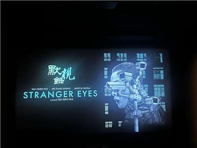 О фильме "Stranger Eyes"