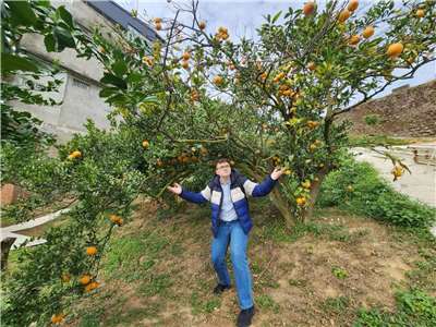 В цитрусовом саду близ посёлка Саньвань в уезде Мяоли. Фото: Андрей Чжоу