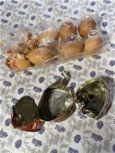 Формозский чёрный медведь проник в хижину рабочего и съел его еду. Фото: Бюро лесного хозяйства уезда Цзяи.