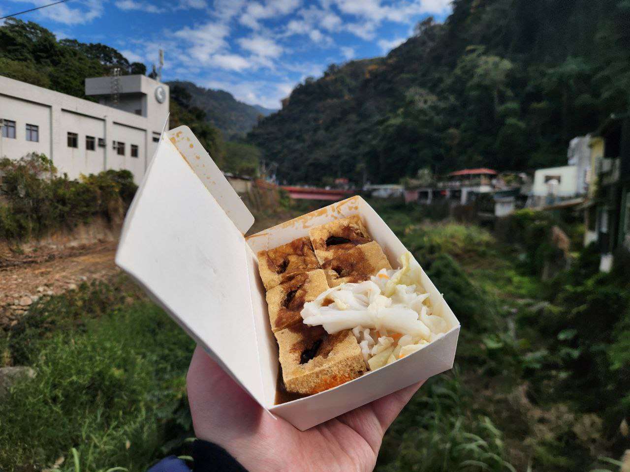 Порция «вонючего тофу», которым славится улица тофу Сишуэйкэн в деревне Цинъань уезда Мяоли. Фото: Андрей Чжоу