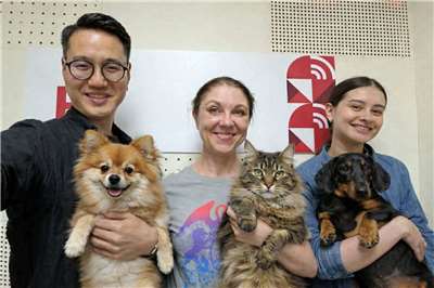 Ведущие Русской службы и их воображаемые питомцы.