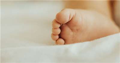 Фото: Carlo Navarro/Unsplash