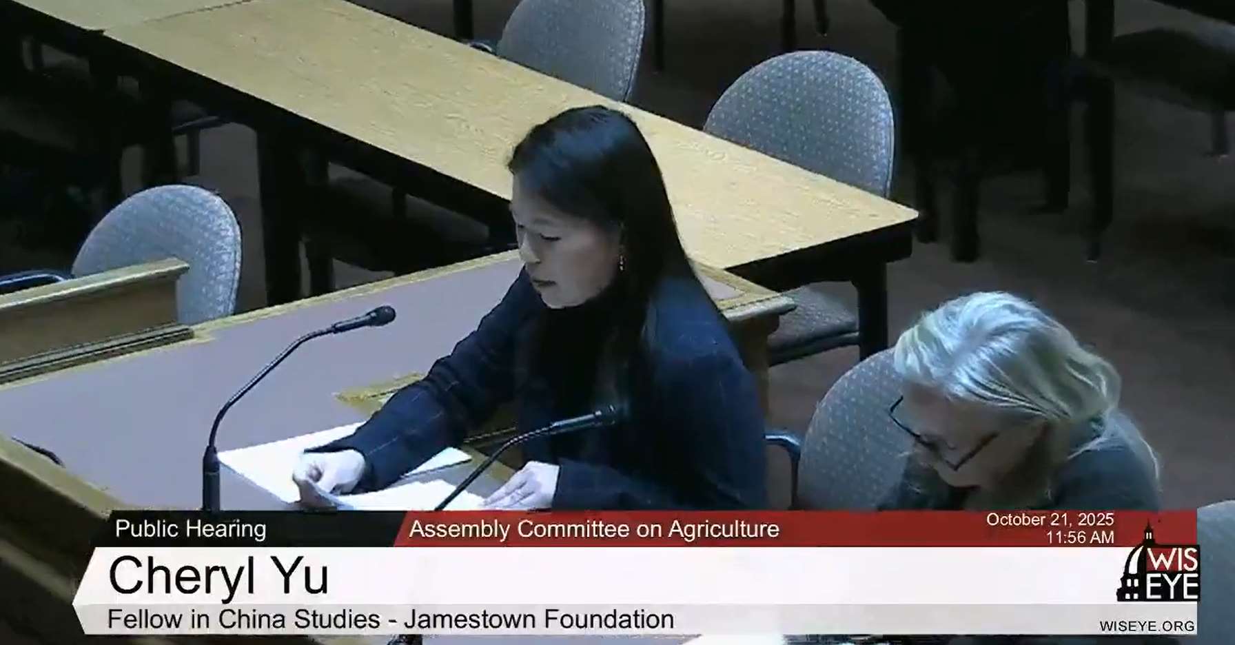 華府智庫詹姆士敦基金會研究員余雪莉(Cheryl Yu，音譯)21日赴威斯康辛州議會作證，支持禁止中共等外國敵對勢力收購不動產法案。(X平台/@StateArmor)