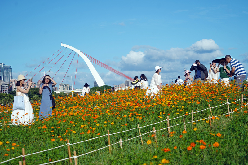 東北季風影響高溫略降 迎風面偶陣雨。