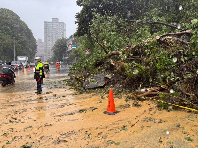 受東北季風與颱風外圍環流影響，新北市汐止區康寧街及福德一路口22日清晨4時許發生土石滑落、路樹傾倒，警方獲報前往拉封鎖線管制，封閉康寧街往東湖方向兩線車道，並在場疏導交通。
（翻攝照片）