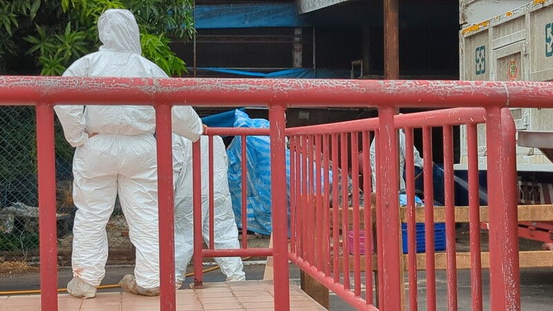 台中一處養豬場死亡豬隻驗出非洲豬瘟核酸陽性反應。圖為事發的養豬場22日陸續有防疫人員進駐清消。
