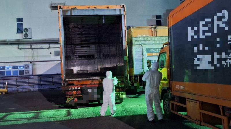 高雄市政府衛生局23日下午接獲通知，台中疑似問題豬肉已出貨至高雄，經追查確認肉品仍在物流貨車
上，防疫人員進行全面清消，並限制全車貨品移動管制，確認此批肉品未流入市面。（高雄市衛生局提供）