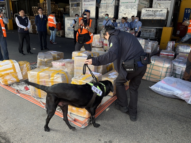 JD
非洲豬瘟邊境管制　防檢署檢疫犬加強查緝（1）
為強化非洲豬瘟邊境管制，農業部防檢署桃園分署檢
疫犬隊31日在快遞專區巡查包裹、逐一嗅聞。
中央社記者葉臻攝　114年10月31日
