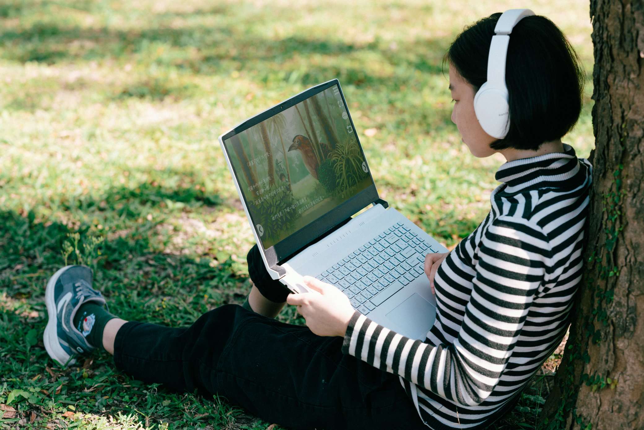 臺博館  邀你 228公園一起尋鳥