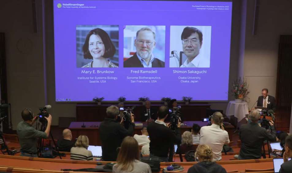 2025諾貝爾醫學獎由美日3學者共享殊榮，他們發現調節性T細胞與關鍵基因Foxp3，這套「煞車」系統為自體免疫疾病、器官移植排斥及癌症等治療開啟新門。(YT/@NobelPrize)