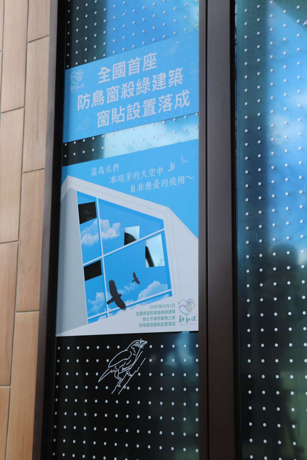 不只收容毛孩　瑞芳動物之家成首座防鳥窗殺綠建築