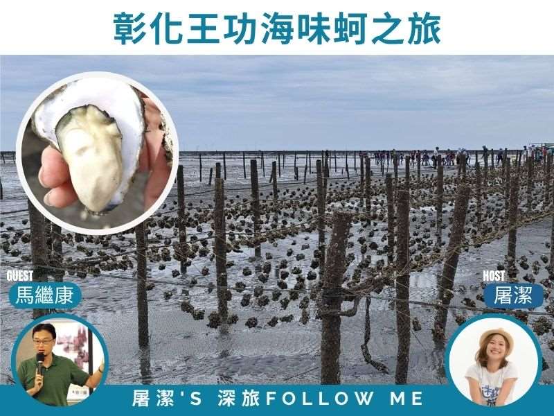 彰化旅遊｜海味人生！王功潮間帶採蚵趣！