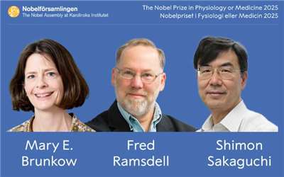 諾貝爾生理學或醫學委員會(Nobel Committee for Physiology or Medicine)今天(6日)宣布2025年得主，由美國系統生物學者布倫考(Mary E. Brunkow)、美國生物學家拉姆斯德爾(Fred Ramsdell)，以及日本免疫學家坂口志文(Shimon Sakaguchi)三人共獲這項殊榮。(圖:nobelprizemedicine.org)