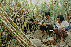 電影《大濛》入圍金馬獎最佳男女主角、最佳劇情片、最佳導演等多項決選名單。（《大濛》劇照/華文創提供）