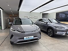 中國電動車因產能過剩、削價競爭引起官方重視。今年5月，中國電動車龍頭比亞迪開啟新一輪價格戰，引起業界與官媒的嚴厲批評。
