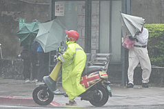 氣象署持續發布豪雨特報，受到東北季風及颱風風神外圍環流影響，北部和宜蘭有局部豪雨或大豪雨發生的機率。圖為民眾在台北市北投區遭強風吹拂，靠在公車站旁躲避。
