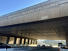洛杉磯「華立斯．安納伯格野生通道」（Wallis Annenberg Wildlife Crossing）預計2026年完工，幫助瀕臨絕種的美洲獅跨越10線道101號高速公路，擴大棲息地。
