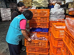 台中梧棲區一家養豬場檢出非洲豬瘟陽性，案例場13日有28隻豬出貨流向市面，其中1頭出貨給嘉義縣某肉品加工業者，嘉義縣衛生局稽查發現，該豬隻經分切後販售市場攤販，已全數賣出。（嘉義縣政府提供）
