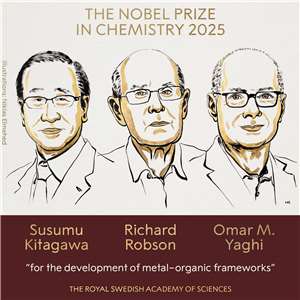 2025年諾貝爾化學獎揭曉，日英美3化學家共享殊榮。(圖：Nobel Prize)