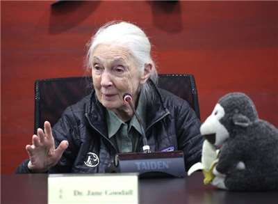 國際知名靈長類動物學家暨聯合國和平大使珍古德（Jane Goodall）