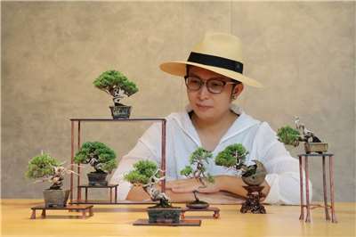 丹尼老師  盆栽設計藝術家