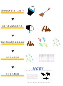 環境DNA採集示意圖