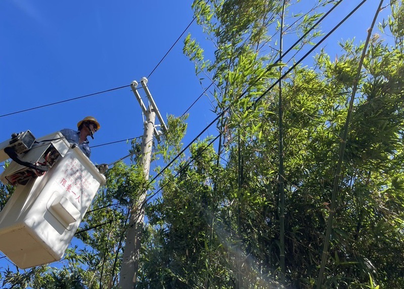 因應颱風鳳凰逐步逼近台灣，台電啟動防颱整備作業，加強鄰近供電線路樹竹修剪，共部署超過4000名搶修人力。（台電提供）
