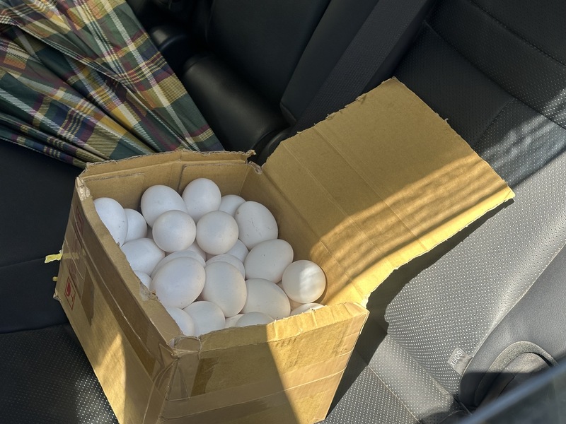 台中市食安處稽查在梧棲區龍忠蛋行查獲來自文雅畜牧場的籃蛋含芬普尼代謝物超標；民眾16日前往蛋行退蛋，因蛋行未開門撲空。