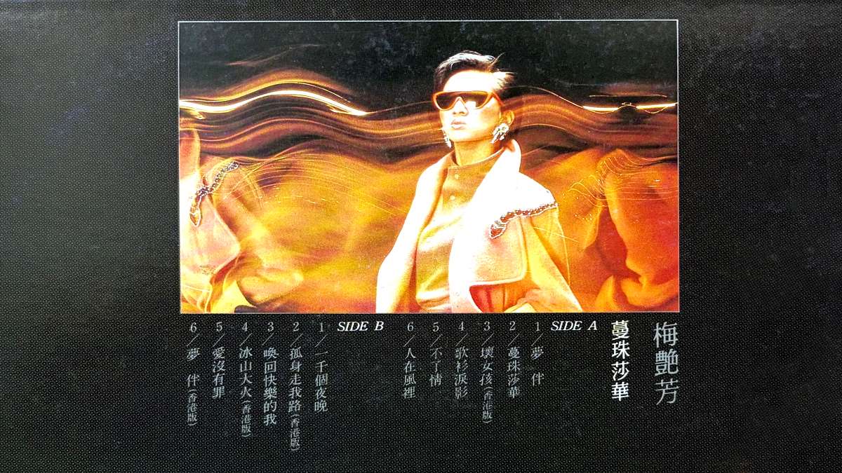 梅艷芳之歌-人在風裡