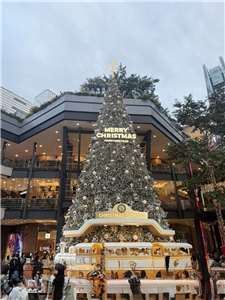 今年的信義耶誕城以「經典耶誕」為主軸，打造六大世界級夢幻場景，將街區變成冬季電影的真實舞台。