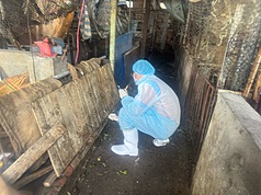 台中市政府26日派員到梧棲感染非洲豬瘟養豬場，進行環境樣本的採檢。（非洲豬瘟中央前進應變所提供）
