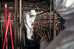 台中非洲豬瘟案例場環境髒亂，地面污泥最厚達10公分，陸軍第十軍團加入清消行列，以鏟子挖起淤泥，清理作業截至31日中午仍在進行。（十軍團提供）