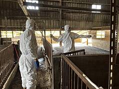 台中養豬場出現非洲豬瘟。圖為國軍10月31日前進案例場完成清消。（台中市府提供）
