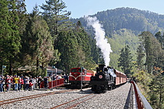 阿里山林鐵二萬坪車站與林鐵列車。（林鐵及文資處員工吳明翰提供）(資料照片)
