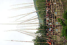 屏東縣來義鄉排灣族文樂部落15日迎來祖靈祭正祭最終日，21名各家族系代表勇士坐上刺球架，以刺球桿盛接象徵福運的藤球。
