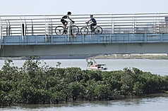 今天(23日)東北季風減弱，清晨各地早晚仍偏涼，白天溫度回升。圖為民眾在關渡騎自行車。