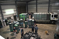 文雅畜牧場的蛋全部都是禁止移動，本來就禁止上市，不該在市面上，並已公布溯源編號代號前3碼是「I47」。（彰縣府提供）(圖:中央社)