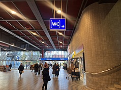 捷克首都布拉格長期面臨公共廁所不足的問題，布拉格市議會近日批准一項新計畫，全面改善公廁現況，確保人潮密集地區有充足、乾淨且安全的公廁。