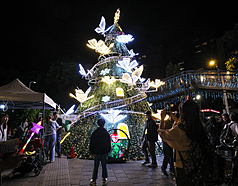 「2025台北耶誕愛無限」活動29日起正式開跑，位於大安森林公園11號出入口的主燈「星願樹」入夜後點亮，吸引不少民眾駐足欣賞，拍下美照。