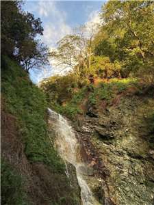 （照片由主持人提供）