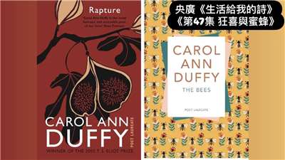 詩人王和平解說