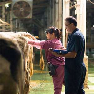 曾仁瀚 傅芊純夫妻檔  本照片轉載自酪農爸獸醫媽媽粉絲頁