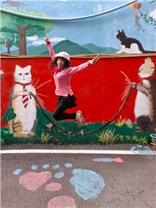 民眾與龍崎貓咪藝術牆趣味互動   本照片轉載自 台南龍崎永續發展協會粉絲頁