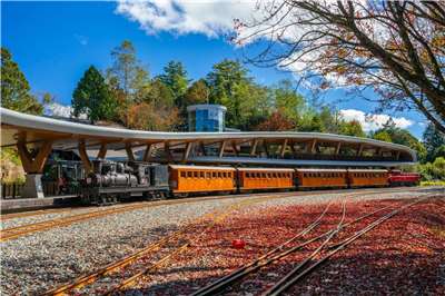 「楓度翩翩」阿里山季節限定蒸機賞楓列車 來囉 