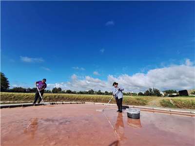 本照片轉載自洲南鹽場粉絲頁