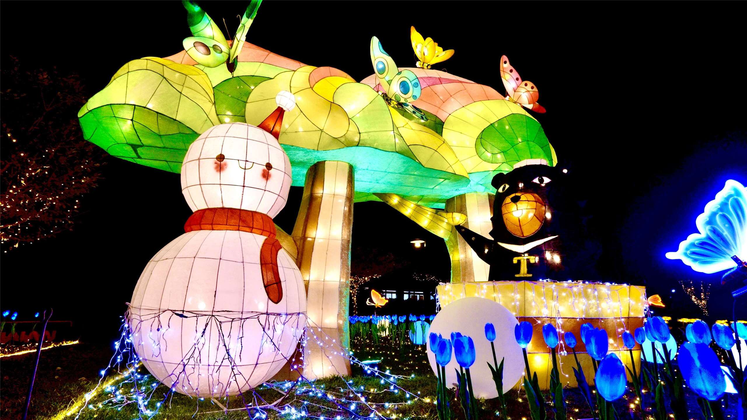 谷關燈光節熱情登場  本照片轉載自參山國家風景區管理處官網